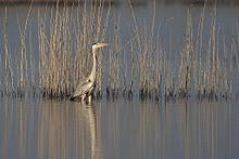 Parco Naturale Regionale Litorale di Ugento